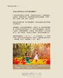 幸福學:潛意識對話(隨書附贈4片光碟)