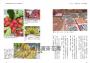 菊島廚房食記：從香料群島漂流到漁人之島