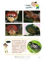哇!顯微鏡下的世界真好玩!:愛上科學的顯微鏡小百科