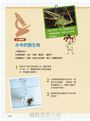 哇!顯微鏡下的世界真好玩!:愛上科學的顯微鏡小百科