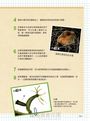 哇!顯微鏡下的世界真好玩!:愛上科學的顯微鏡小百科