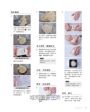 李宜融  頂尖風味吐司麵包全書