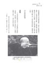 狐狸與白兔道晚安之處：在德國老磨坊中習禪與射藝之道