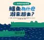 動物如何談戀愛:鱷魚為什麼游來游去?