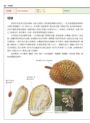 世界水果圖鑑（精心設計果形、果色檢索表；並附產季速查表，讓你聰明選購當季水果）