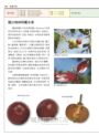 世界水果圖鑑（精心設計果形、果色檢索表；並附產季速查表，讓你聰明選購當季水果）