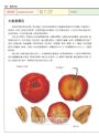 世界水果圖鑑（精心設計果形、果色檢索表；並附產季速查表，讓你聰明選購當季水果）
