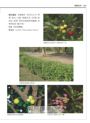 世界水果圖鑑（精心設計果形、果色檢索表；並附產季速查表，讓你聰明選購當季水果）