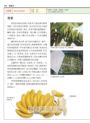 世界水果圖鑑（精心設計果形、果色檢索表；並附產季速查表，讓你聰明選購當季水果）