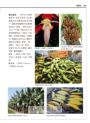 世界水果圖鑑（精心設計果形、果色檢索表；並附產季速查表，讓你聰明選購當季水果）