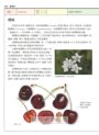 世界水果圖鑑（精心設計果形、果色檢索表；並附產季速查表，讓你聰明選購當季水果）