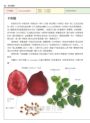 世界水果圖鑑（精心設計果形、果色檢索表；並附產季速查表，讓你聰明選購當季水果）