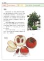 世界水果圖鑑（精心設計果形、果色檢索表；並附產季速查表，讓你聰明選購當季水果）