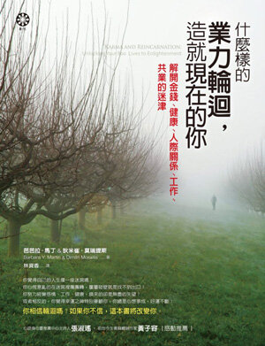 什麼樣的業力輪迴，造就現在的你：解開金錢、健康、人際關係、工作、共業的迷津